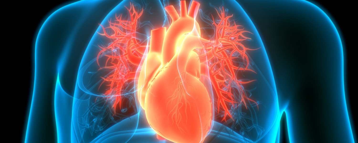 Can your heart recover from drug use?