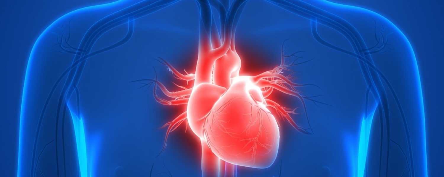 Impact of Drug Abuse on the Heart