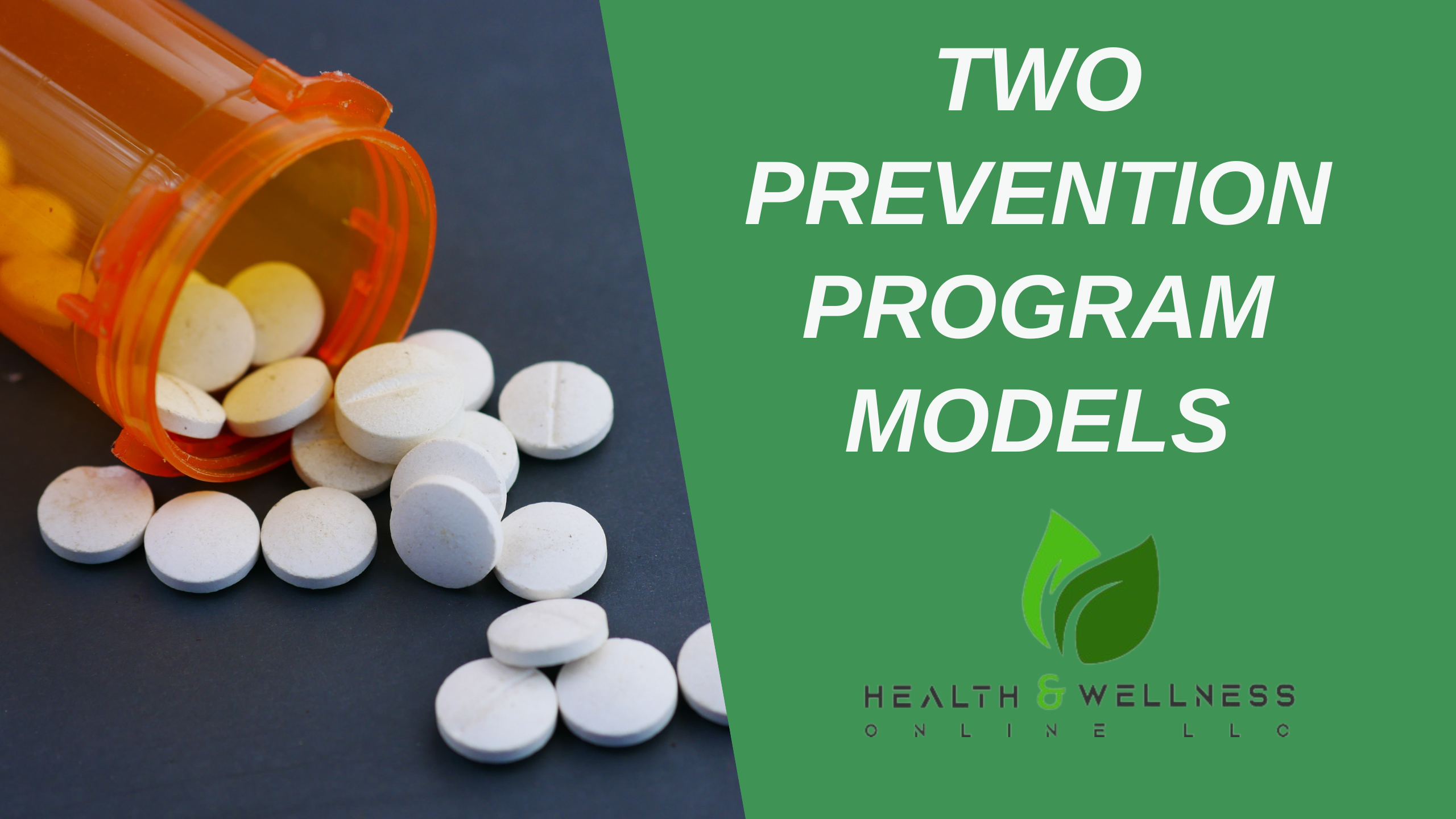 Two Prevention Program Models is a 3 CE CH Course on Health and Wellness Online.